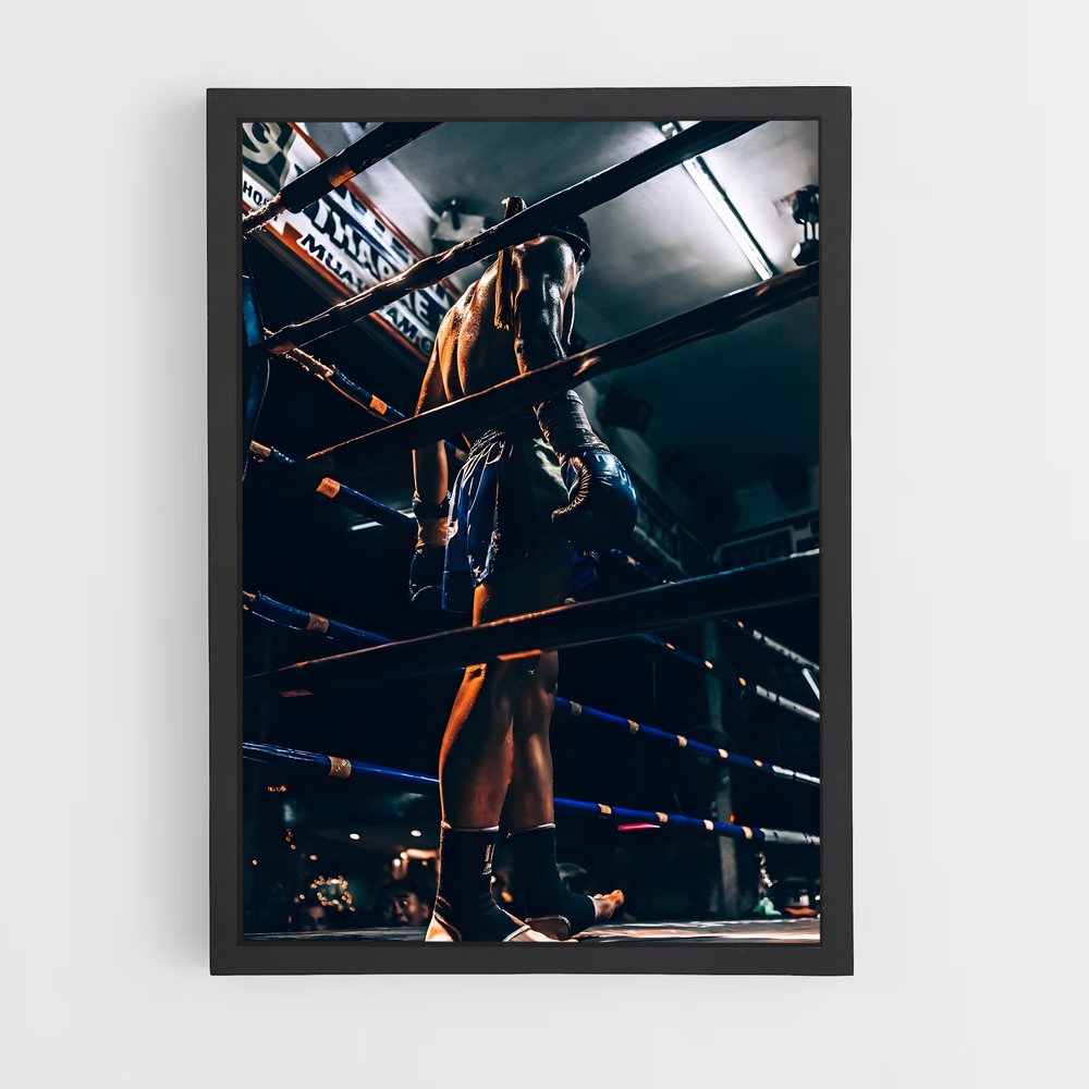 Poster Muay thai (vue 2)